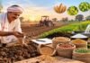 रबी फसलों के बीज का पर्याप्त भण्डारण,किसान अधिकृत विक्रय केन्दों में बीज प्राप्त करें