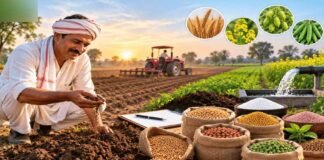 रबी फसलों के बीज का पर्याप्त भण्डारण,किसान अधिकृत विक्रय केन्दों में बीज प्राप्त करें
