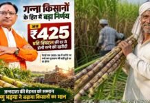 छत्तीसगढ़ में गन्ना मूल्य ₹425 प्रति क्विंटल, देश में सबसे ज्यादा दर देने का दावा