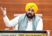 पंजाब में नशे के खिलाफ बड़ा एक्शन, ₹20.64 करोड़ की दवाएं जब्त; 520 केमिस्टों के लाइसेंस सस्पेंड
