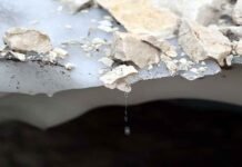 स्लोवेनिया का आखिरी ग्लेशियर भी खतरे में, 80 साल में आधी रह गई बर्फ