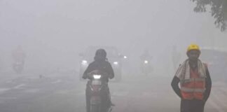 हाईवे-एक्सप्रेसवे पर बढ़ेगी सुरक्षा, शीतलहर-कोहरे में हादसे रोकने के लिए योगी सरकार ने शुरू की तैयारी