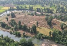 जल संरक्षण से बदलेगी ग्राम दर्री की तस्वीर, 24 लाख 30 हजार लीटर वर्षा जल सहेजने की अनूठी पहल