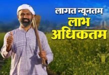 प्राकृतिक खेती से बदलेगी गांवों की अर्थव्यवस्था, यूपी में बनेंगे प्राकृतिक खेती के जिले