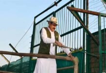 कान्हा टाइगर रिजर्व में 100 साल बाद लौटी जंगली भैंसों की रौनक, CM मोहन यादव ने 8 भैंसों को छोड़ा