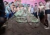 राजस्थान में दशहरे की अनोखी परंपराएं, कहीं रावण की पूजा तो कहीं पैरों तले रौंदकर वध