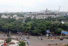 इंदौर में 182 हरे-भरे पेड़ों की कटाई को हाई कोर्ट की सशर्त मंजूरी, हजारों पक्षी होंगे प्रभावित
