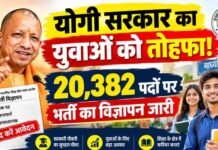 योगी सरकार में युवाओं को अवसर, माध्यमिक विद्यालयों में कुल 20,382 पदों पर भर्ती प्रक्रिया के लिए विज्ञापन जारी