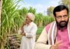 हरियाणा के गन्ना किसानों को दिवाली का तोहफा, दो साल में 35 रुपये बढ़ेगा भाव, अब मिलेंगे 450 रुपये प्रति क्विंटल