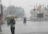 MP Weather Update: चक्रवात ‘अर्नब’ का असर, मध्यप्रदेश के 31 जिलों में अलर्ट; 5 जिलों में भारी बारिश की चेतावनी