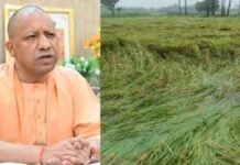 फसलों के नुकसान की होगी भरपाई, सोमवार को गोरखपुर से किसानों के खातों में धनराशि भेजेंगे मुख्यमंत्री योगी आदित्यनाथ