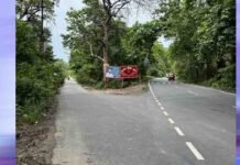 भोपाल के जंगलों से गुजरेंगी 60 मीटर चौड़ी सड़कें, बाघों के मूवमेंट पर मंडराया खतरा