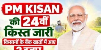 PM किसान की 24वीं किस्त जारी, दिवाली से पहले किसानों को मोदी सरकार की सौगात