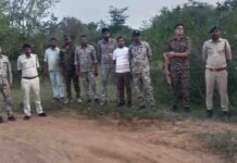 कूनो में चीते की गोली मारकर हत्या का मामला, 6 वनकर्मी सस्पेंड और STF गठित