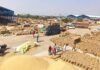 हरियाणा के किसानों को राहत, तय सीमा से ज्यादा धान भी MSP पर खरीदेगी सरकार