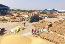 हरियाणा के किसानों को राहत, तय सीमा से ज्यादा धान भी MSP पर खरीदेगी सरकार