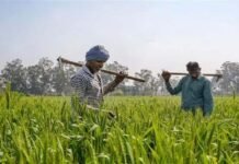 राजस्थान के किसानों को बड़ी राहत, डूंगरपुर और जालोर में करोड़ों के फसल बीमा क्लेम का रास्ता साफ