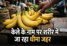 नवरात्र में केले की बढ़ी मांग, केमिकल से पकाने का खतरा! खरीदते समय इन बातों का रखें ध्यान