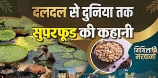 बिहार के मखाने का दुनिया में दबदबा, तालाबों से निकलकर न्यूयॉर्क-लंदन तक पहुंचा मिथिला का ‘सफेद मोती’