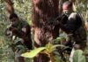झारखंड में अब भी फरार 9 इनामी माओवादी, पुलिस की तलाश तेज; किसी पर 15 लाख तो किसी पर 10 लाख का इनाम