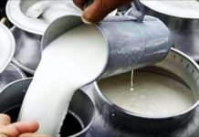 बिहार में डेयरी फार्म खोलने पर मिलेगी 75% तक सब्सिडी, सरकार दे रही 8 लाख रुपये से ज्यादा की मदद