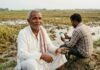 बिहार के सारण में 12,395 किसानों के अनुदान आवेदन मंजूर, खातों में DBT से आएगी राहत राशि