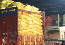 झज्जर पहुंचा 2,550 मीट्रिक टन खाद का रैक, झज्जर-रोहतक-सोनीपत के किसानों को मिलेगी राहत
