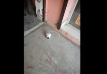 Bareilly: कैफे में घुसकर चोरी की कोशिश, CCTV कैमरे उखाड़कर भागे संदिग्ध, जांच में जुटी पुलिस