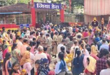 बस्तर दशहरा: 1700 से ज्यादा देवी-देवताओं की होगी विदाई