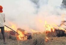 तरनतारन में पराली जलाने से रोकने पहुंचे अधिकारी पर हमला, 90 किसानों के खिलाफ केस दर्ज