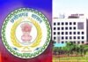 छत्तीसगढ़ PWD में बड़ा फेरबदल, 91 सब इंजीनियरों का तबादला; मिली नई जिम्मेदारी