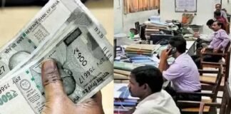 छत्तीसगढ़ के सरकारी कर्मचारियों को दिवाली का तोहफा, नवंबर से 2% बढ़ा DA