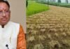 CM साय का बड़ा निर्देश, ‘अर्नब’ चक्रवात से फसल नुकसान का होगा सर्वे; जल्द मिलेगा मुआवजा