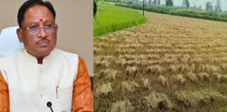 CM साय का बड़ा निर्देश, ‘अर्नब’ चक्रवात से फसल नुकसान का होगा सर्वे; जल्द मिलेगा मुआवजा
