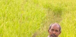 कृषक उन्नति योजना से शंकर प्रसाद की खेती को मिलेगा आर्थिक संबल, तीन एकड़ में सुगंधित धान की खेती पर मिलेंगे 45 हजार रुपये