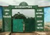 कूनो में चीतों की मौत पर जानकारी देने से वन विभाग का इनकार, RTI में पोस्टमार्टम रिपोर्ट रोकी