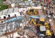 Bhopal News: डेयरी के पास जंगल में मिले गोवंश, गोकशी मामले में संचालक की पत्नी और बेटा भी आरोपी