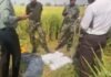 फिरोजपुर बॉर्डर पर BSF की बड़ी कार्रवाई, 70 करोड़ की हेरोइन जब्त