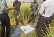 फिरोजपुर बॉर्डर पर BSF की बड़ी कार्रवाई, 70 करोड़ की हेरोइन जब्त