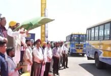 पंजाब में ग्रामीण परिवहन को मिलेगी रफ्तार, CM भगवंत मान ने सौंपी 100 मिनी बसें