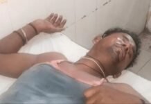 बहराइच में दर्दनाक सड़क हादसा, डीसीएम की टक्कर से बाइक सवार युवक की मौत, साथी गंभीर