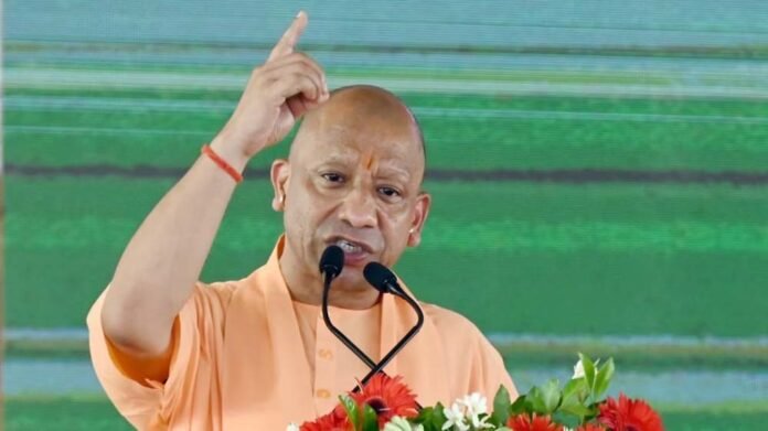 cm_yogi_11-3.jpg