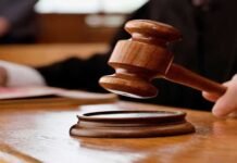 हाईकोर्ट का फैसला: मानसिक क्रूरता के आधार पर पति को तलाक की मंजूरी, पत्नी अलग से मांग सकती है गुजारा भत्ता