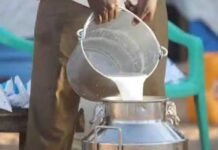 प्रदेश के 208 वृंदावन ग्रामों में होगी गोपाल-कृष्ण ग्राम पुरस्कार प्रतियोगिता