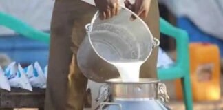 प्रदेश के 208 वृंदावन ग्रामों में होगी गोपाल-कृष्ण ग्राम पुरस्कार प्रतियोगिता