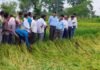 अर्नब तूफान से प्रभावित किसानों को राहत देने सक्रिय हुआ प्रशासन, फसल क्षति का सर्वे शुरू