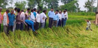 अर्नब तूफान से प्रभावित किसानों को राहत देने सक्रिय हुआ प्रशासन, फसल क्षति का सर्वे शुरू
