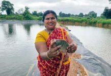 मत्स्य पालन से समृद्ध हो रही सरगुजा की ग्रामीण अर्थव्यवस्था, खुल रहे स्वरोजगार के नए अवसर