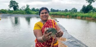 मत्स्य पालन से समृद्ध हो रही सरगुजा की ग्रामीण अर्थव्यवस्था, खुल रहे स्वरोजगार के नए अवसर
