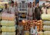 मध्यप्रदेश पुलिस की अवैध मादक पदार्थ के विरुद्ध बड़ी कार्रवाई